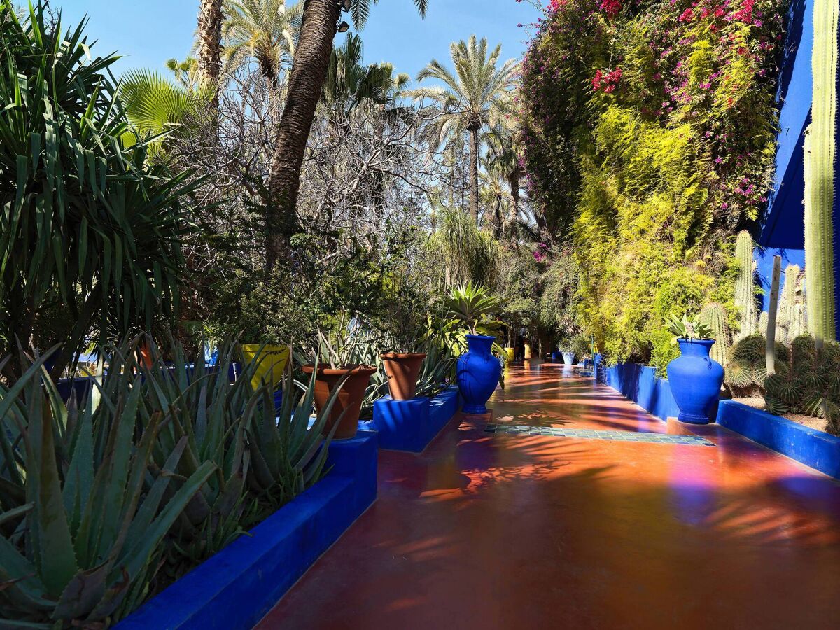 Jardin Majorelle, Marrakech Jardin Majorelle, Marrakech