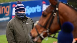 <p>Teahupoo won the ITM Virtual Stallion Trail Hurdle for trainer Gordon Elliott in Fairyhouse earlier this month. Picture: Healy Racing</p>