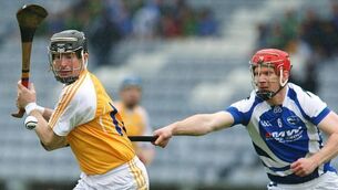 Laois end long wait for Leinster semis berth
