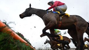 <p>Allaho and Paul Townend prepare to take off at the eighth fence in the Savills Chase at Leopardstown over Christmas. 	Picture: Healy Racing</p>