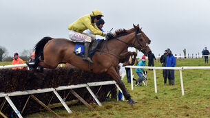 <p>Fangio De Vassy (nearest) can take the maiden hurdle at Gowran after a fine hurding debut at Leopardstowm</p>