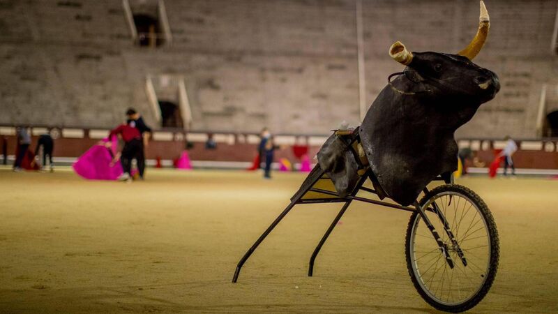 The Last Dance: Can bullfighting recover from Covid?