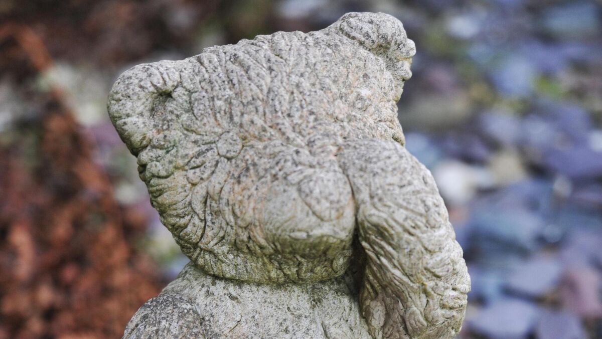 A stone Teddy placed near a remembrance plaque and sculpture dedicated to babies who died at Bessborough. The true identity of many babies has been stolen from them and hidden in locked files by the bureaucrats. File photo: Larry Cummins