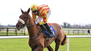 <p>Royal Kahala: Can concede weight to all bar one of her rivals at Fairyhouse. Picture: Healy Racing.</p>