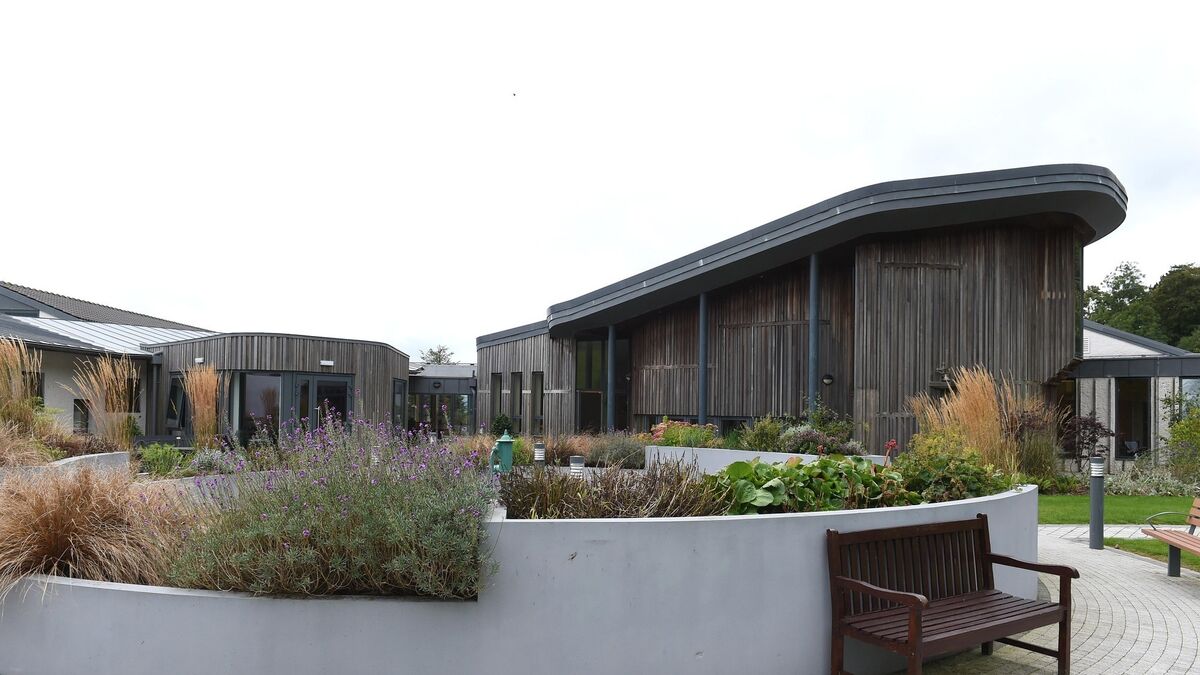 Over 30 residents die in Cork/Kerry nursing homes in two weeks - Vimarsana News