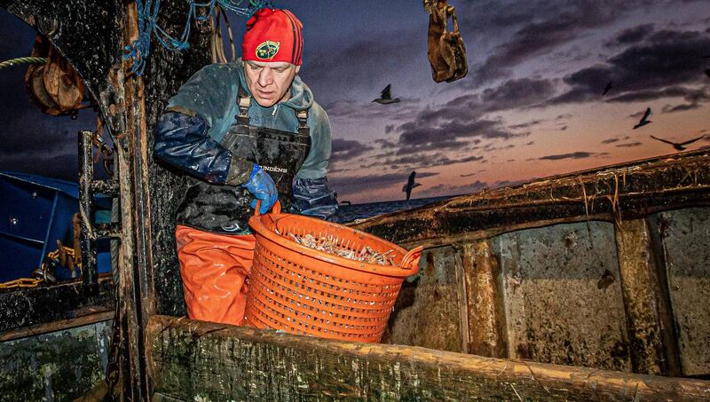 The trawlermen, including Tadas Kasiulevicius, transfer their catch from the nets to a variety of baskets and then into a wooden compartment at the stern of La Petite Edelweiss for sorting. 	Picture: Neil Michael