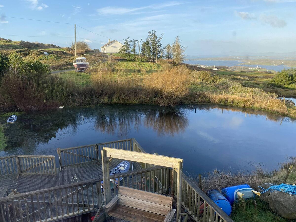 The O'Flynn's pond in Baltimore is home to almost 5,000 frogs. Photo: Richard O'Flynn The O'Flynn's pond in Baltimore is home to almost 5,000 frogs. Photo: Richard O'Flynn