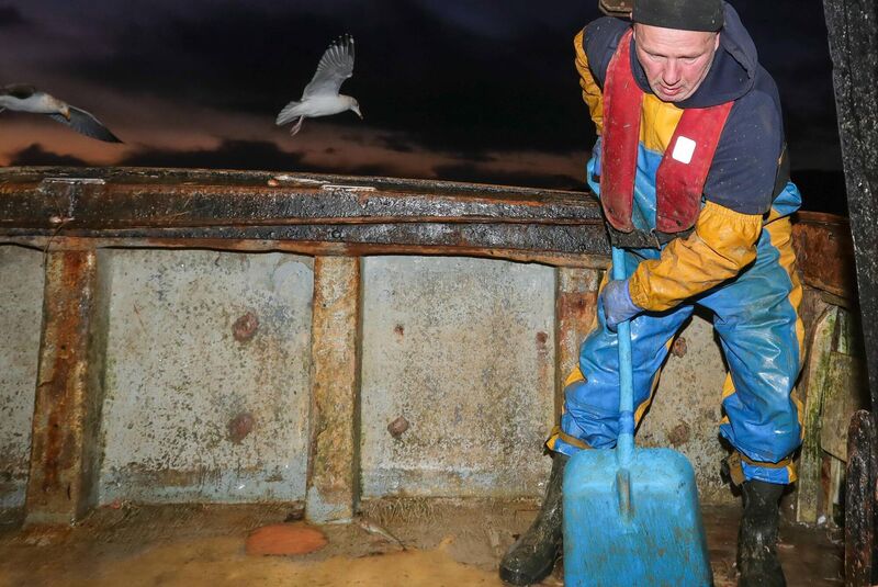 Fisher sails all homing: Egidijus Maciulskis cleans up after landing the catch. Far from the misty-eyed sentiment of 'Bantry Bay', it's hard and thankless work — and fishermen are caught in a pincer between low prices, and shrinking quotas imposed as a result of Brexit. 	Picture: Neil Michael