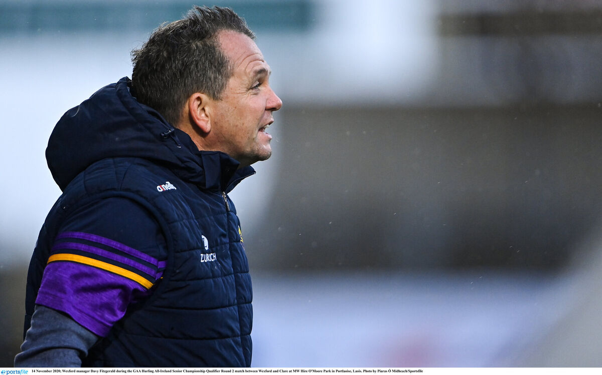 Of the 17 Clare players which featured in the 1995 All-Ireland final, six went on to become inter-county senior managers, including Wexford manager Davy Fitzgerald. Picture: Piaras Ó Mídheach/Sportsfile