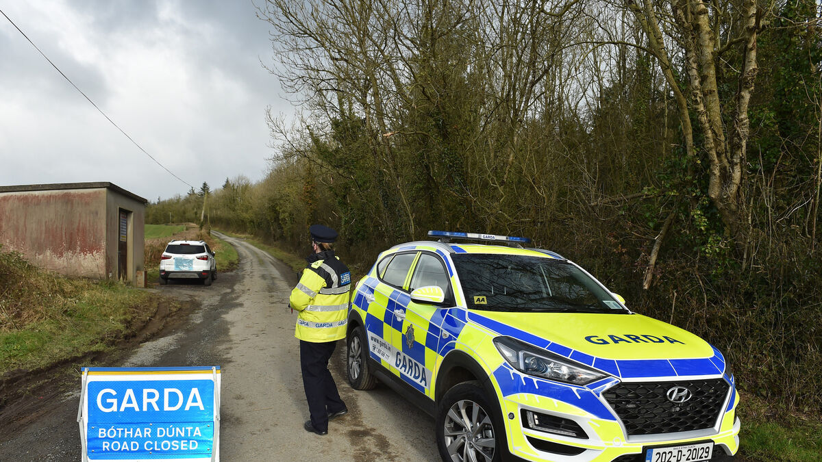 'She had a heart of gold' North Cork village in shock over death of widowed mother-of-three Mary O'Keeffe - Vimarsana News