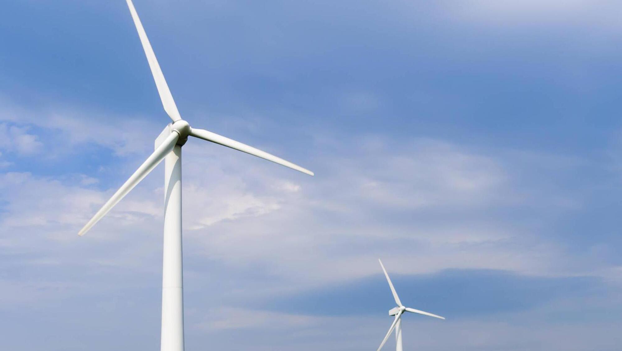 Wind energy can be as big as pharma in Cork Harbour, report claims 