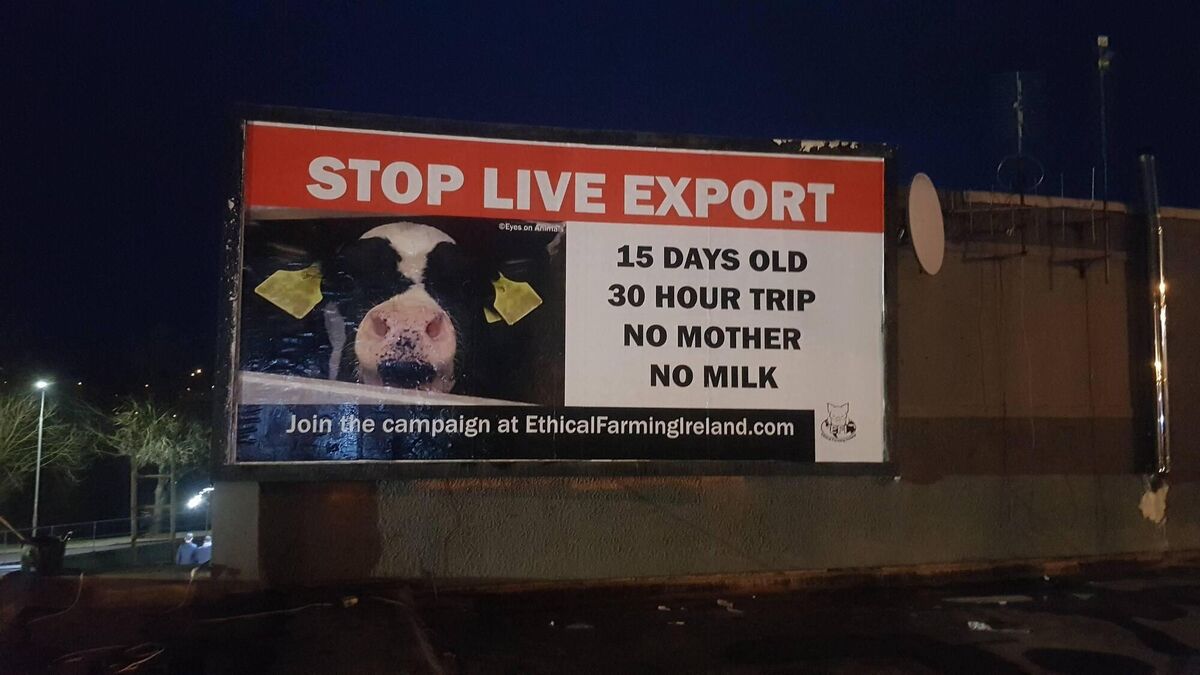 A billboard from the same campaign that highlights the export of live cattle under conditions that activists allege contravene EU regulations. Picture: Caroline Rowley A billboard from the same campaign that highlights the export of live cattle under conditions that activists allege contravene EU regulations. Picture: Caroline Rowley