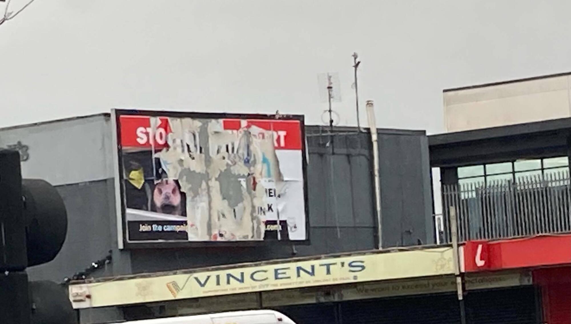 Animal cruelty billboard vandalised 