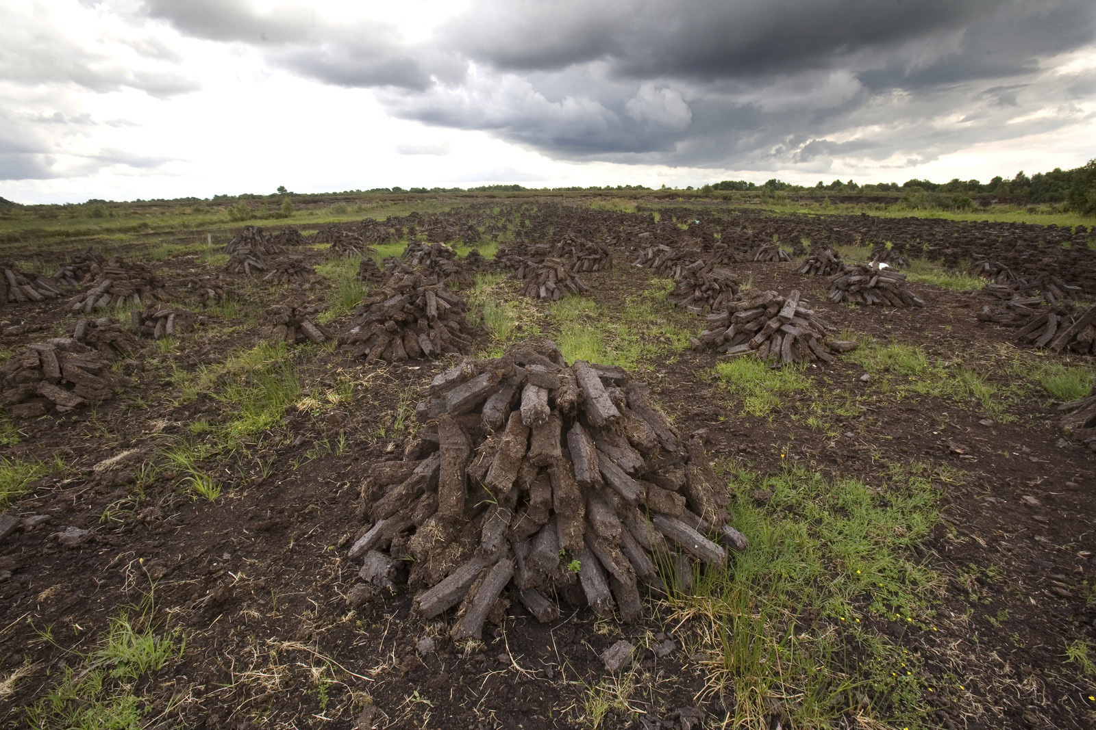 IFA says farmers whose land is neighbouring the planned development of the Pollagh and Ougther bogs in Co Offaly are concerned about the potential impact the rehabilitation may have on their land. File Picture.  