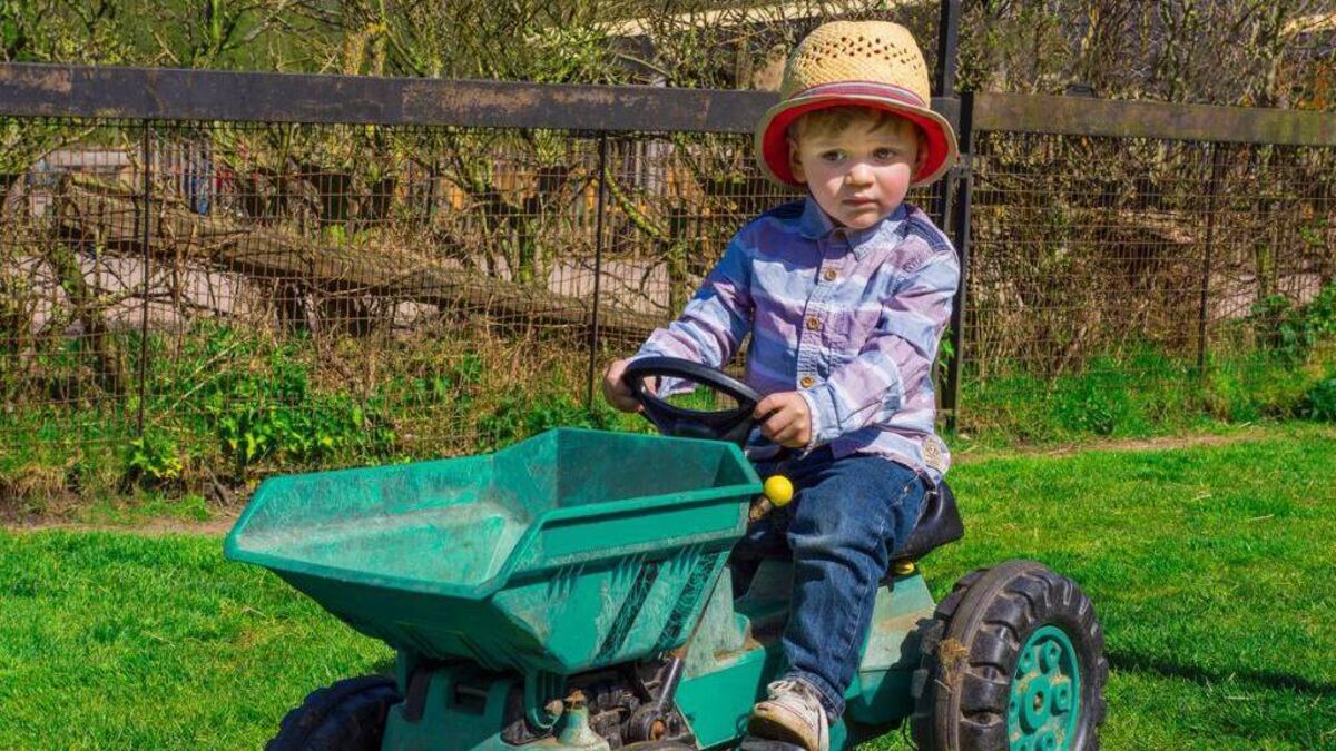 Can home schooling reconnect Ireland with its agricultural heritage? - Vimarsana News
