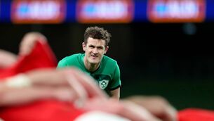 <p>Ireland's Billy Burns. Picture: INPHO/Dan Sheridan</p>
