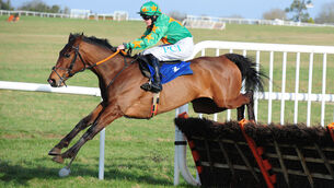 <p>Whatsnottoknow looks the business in the Templemore Beginners’ Chase at Thurles. Picture: Healy Racing</p>