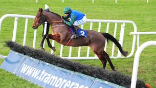<p>Minella Escape should appreciate step up to three miles. Picture: Healy Racing</p>