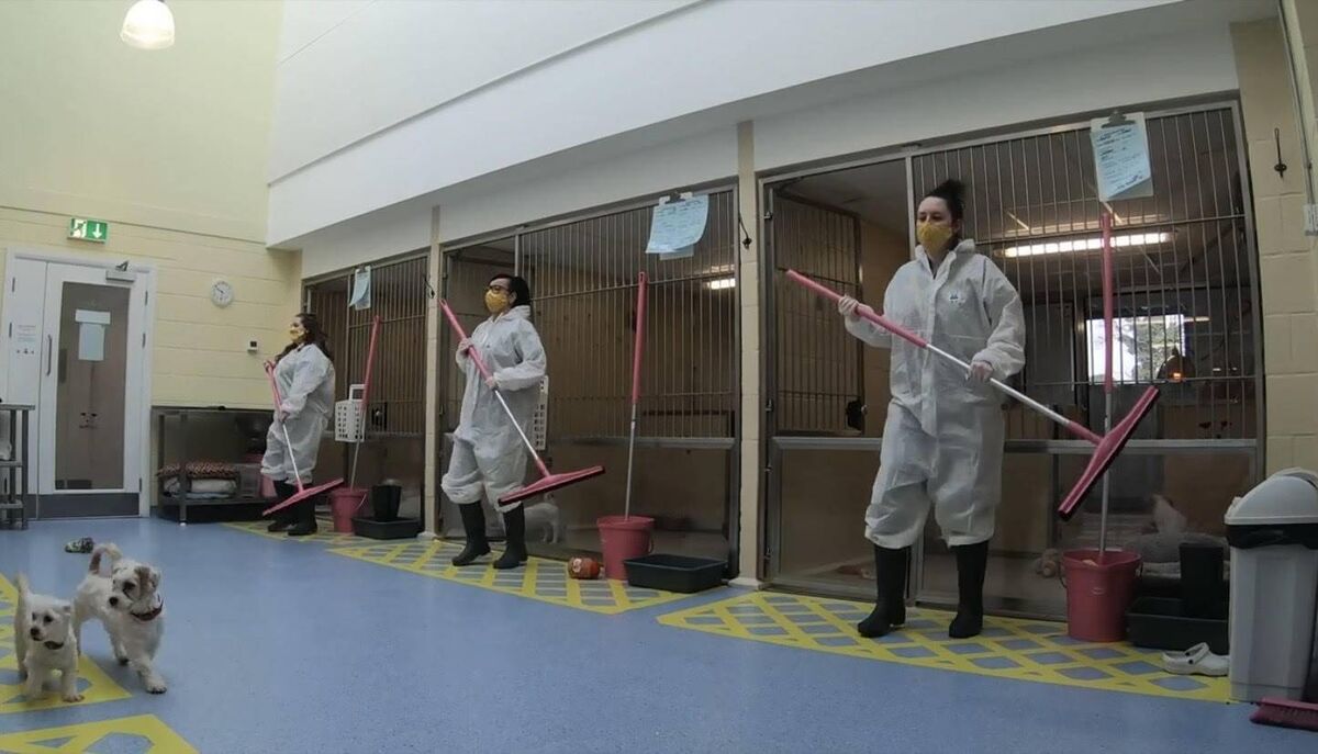 The video has already been viewed over one thousand times on Youtube.