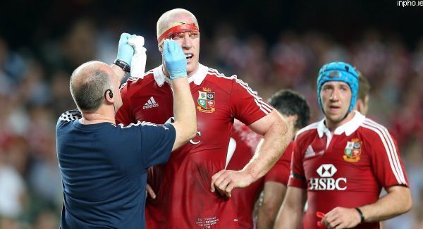 Job done for the Lions in Hong Kong