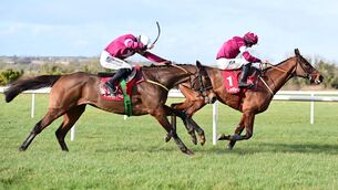 <p>Beacon Edge and Sean Flanagan (left) get up to beat Fury Road (right) and win the Ladbrokes Ireland Boyne Hurdle (Grade 2). Picture: Healy Racing</p>