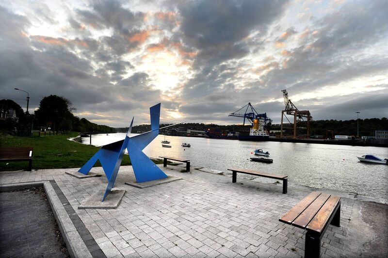 The Blackrock property market can almost be said to have a microclimate of its own where demand is higher than in other parts of the city. Picture: Denis Scannell