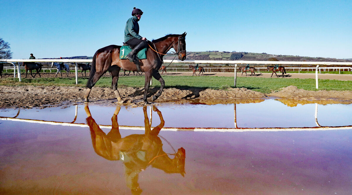 Al Boum Photo and Paul Roule on the gallops during the visit to Willie Mullins' stables in Closutton. Picture: Niall Carson/PA