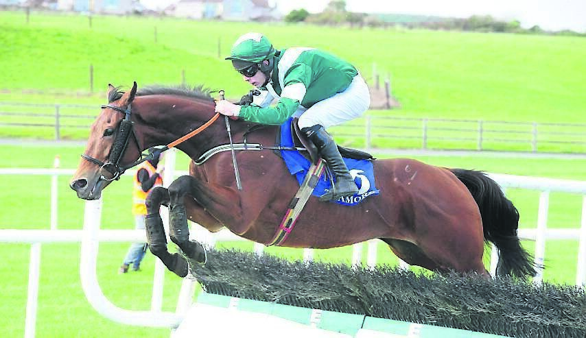Jockey Kevin Brouder riding Viking Hoard before pulling him up after jumping six hurdles at Tramore racecourse on October 18, 2018. The horse had been doped with a tranquilliser to 100 times the legal limit. Picture: Healy Racing