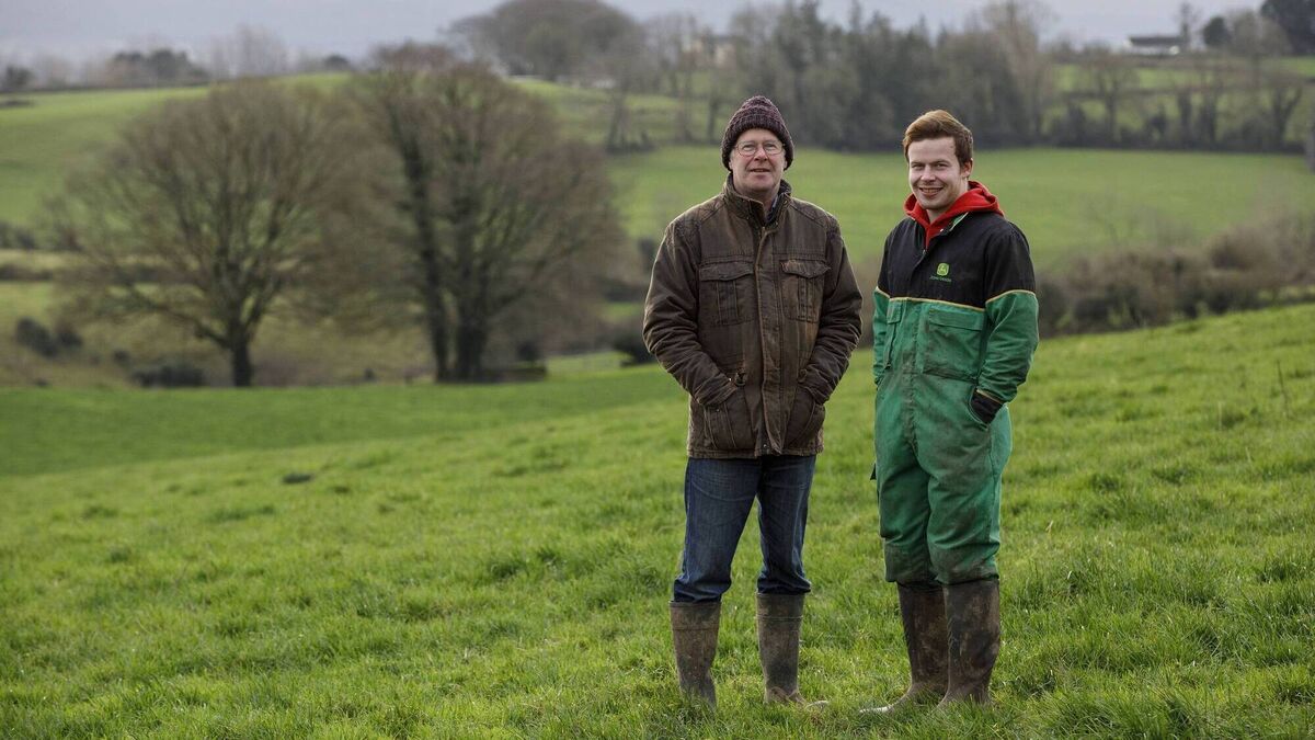 How a father and son operation made the switch to dairy - Vimarsana News