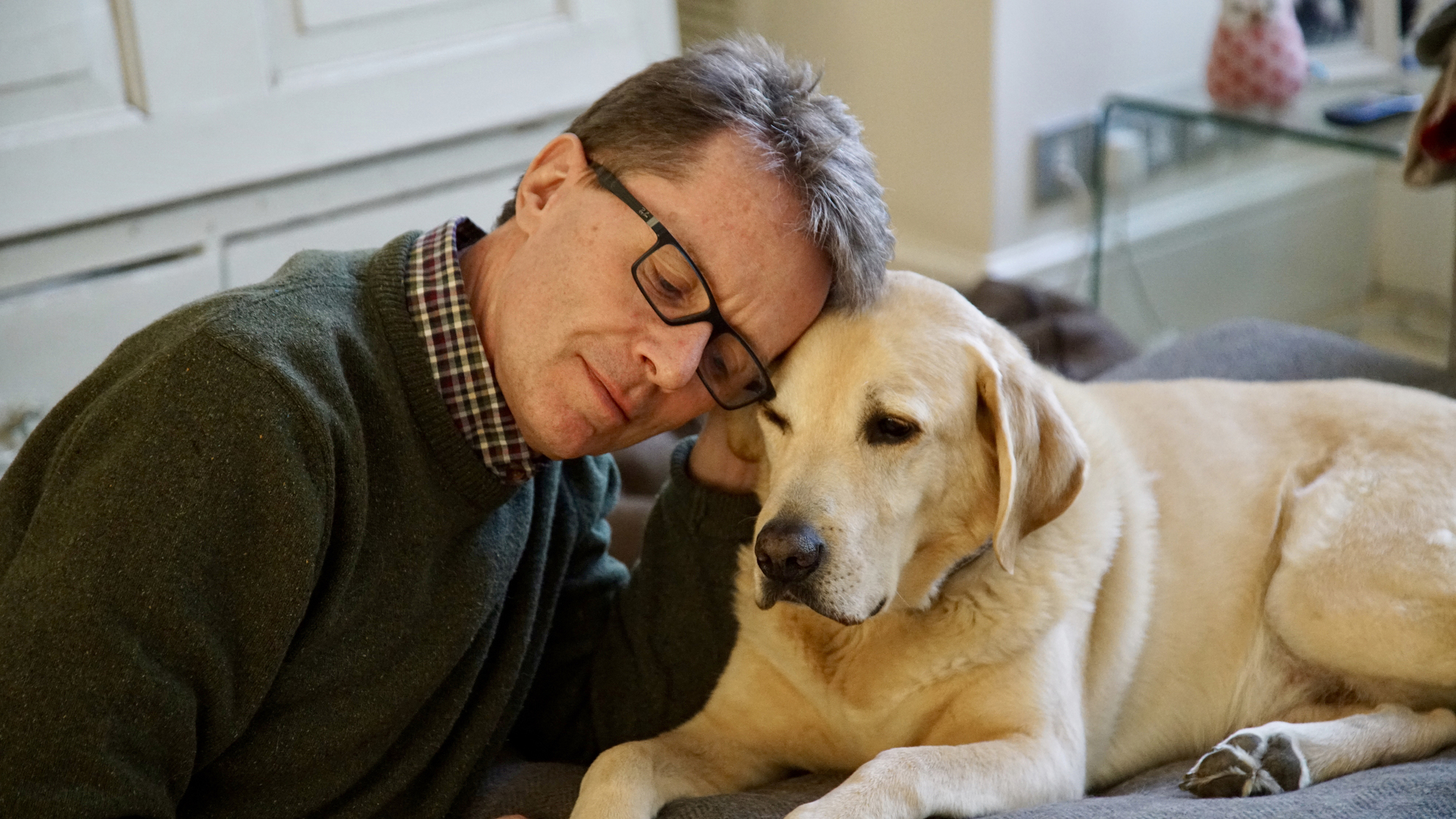 Long Lost Family's Nicky Campbell: How my dog helped me through my breakdown
