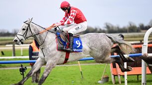 <p>Grand Paradis can take the Thurles feature for Gordon Elliott and Jack Kennedy. Picture: Healy Racing</p>