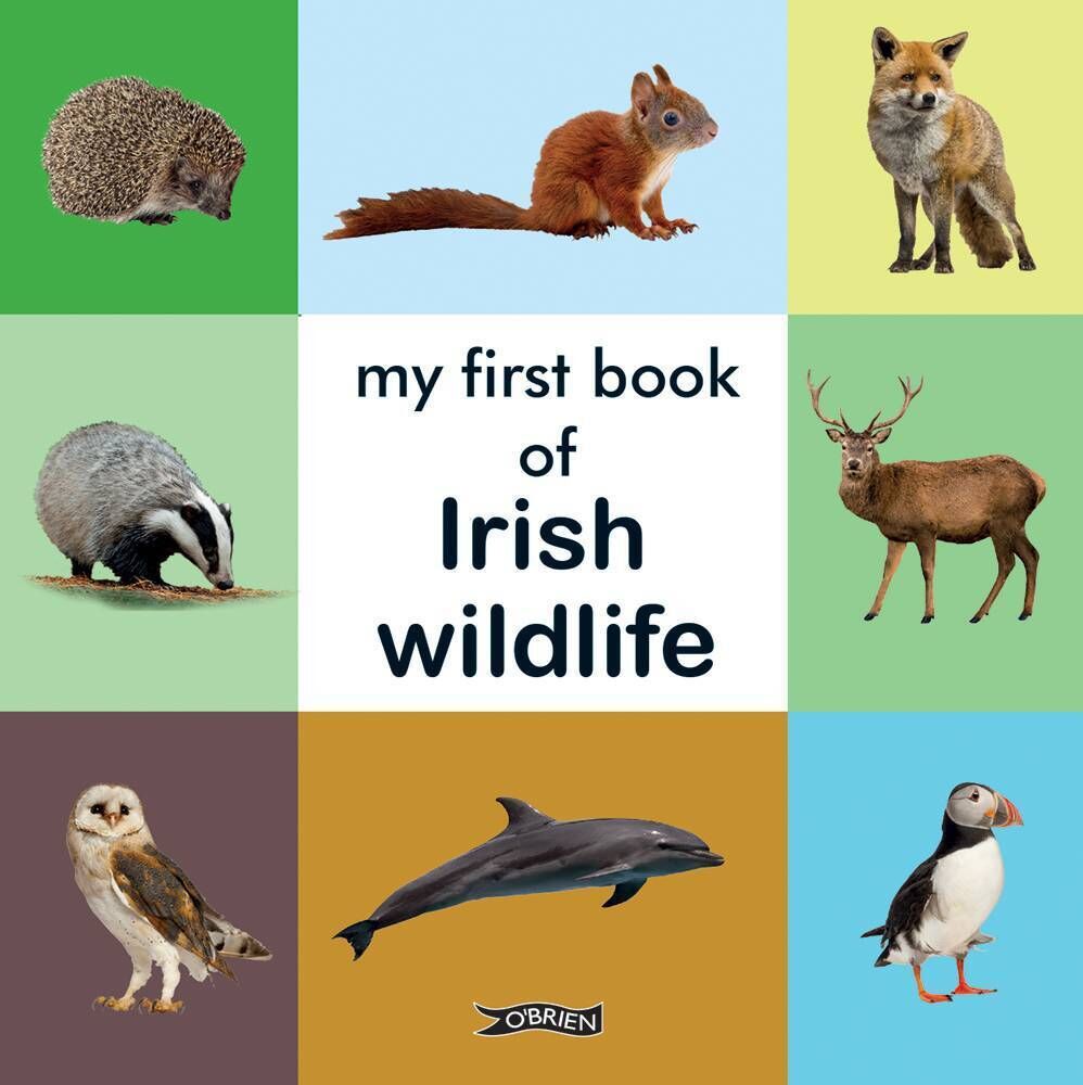 My First Book of Irish Wildlife My First Book of Irish Wildlife