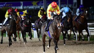 <p>Tower Of Pisa can secure the second win of her career at Dundalk. Picture: Healy Racing</p>