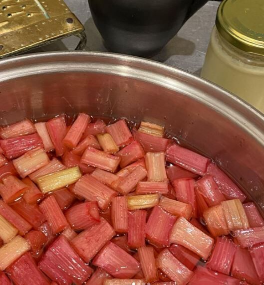 Use some of your roasted rhubarb here.