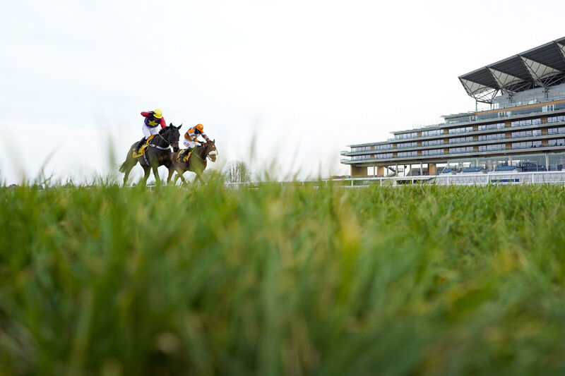 Action from The Betfair Ascot Chase last weekend. Like the upcoming Cheltenham Festival, this meeting was held behind closed doors due to the coronavirus pandemic. Picture: Alan Crowhurst Action from The Betfair Ascot Chase last weekend. Like the upcoming Cheltenham Festival, this meeting was held behind closed doors due to the coronavirus pandemic. Picture: Alan Crowhurst