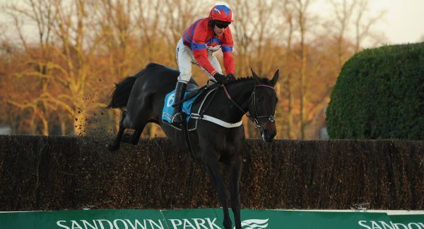 No Sandown return for Sprinter Sacre