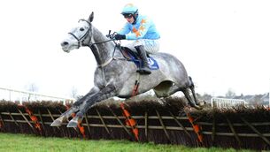 <p>Bachasson has a fine chance to pick up some unexpected prizemoney for connections at Gowran Park. Picture: Healy Racing</p>