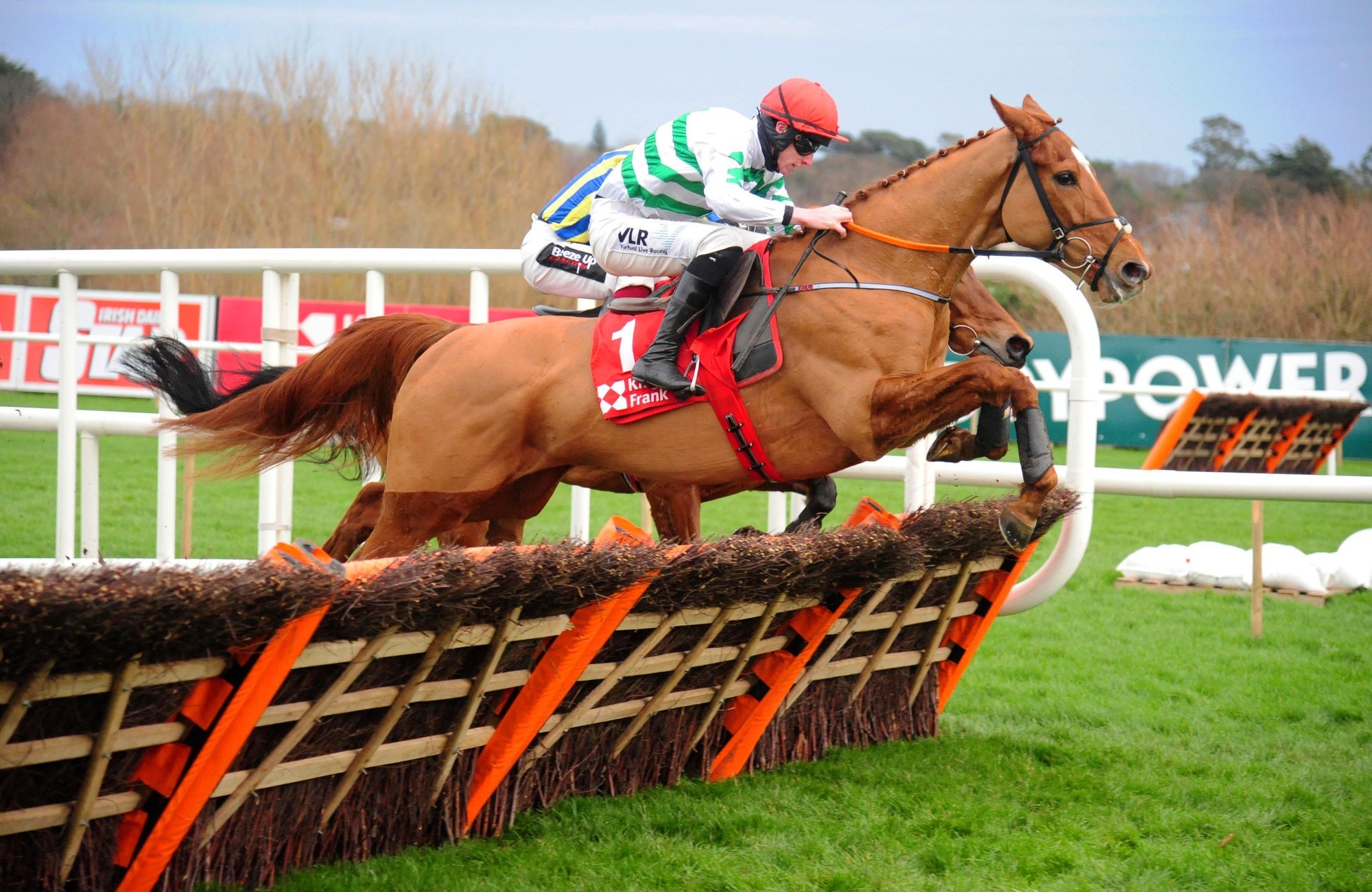 11 Gordon Elliott horses who could miss Cheltenham Festival after photo controversy