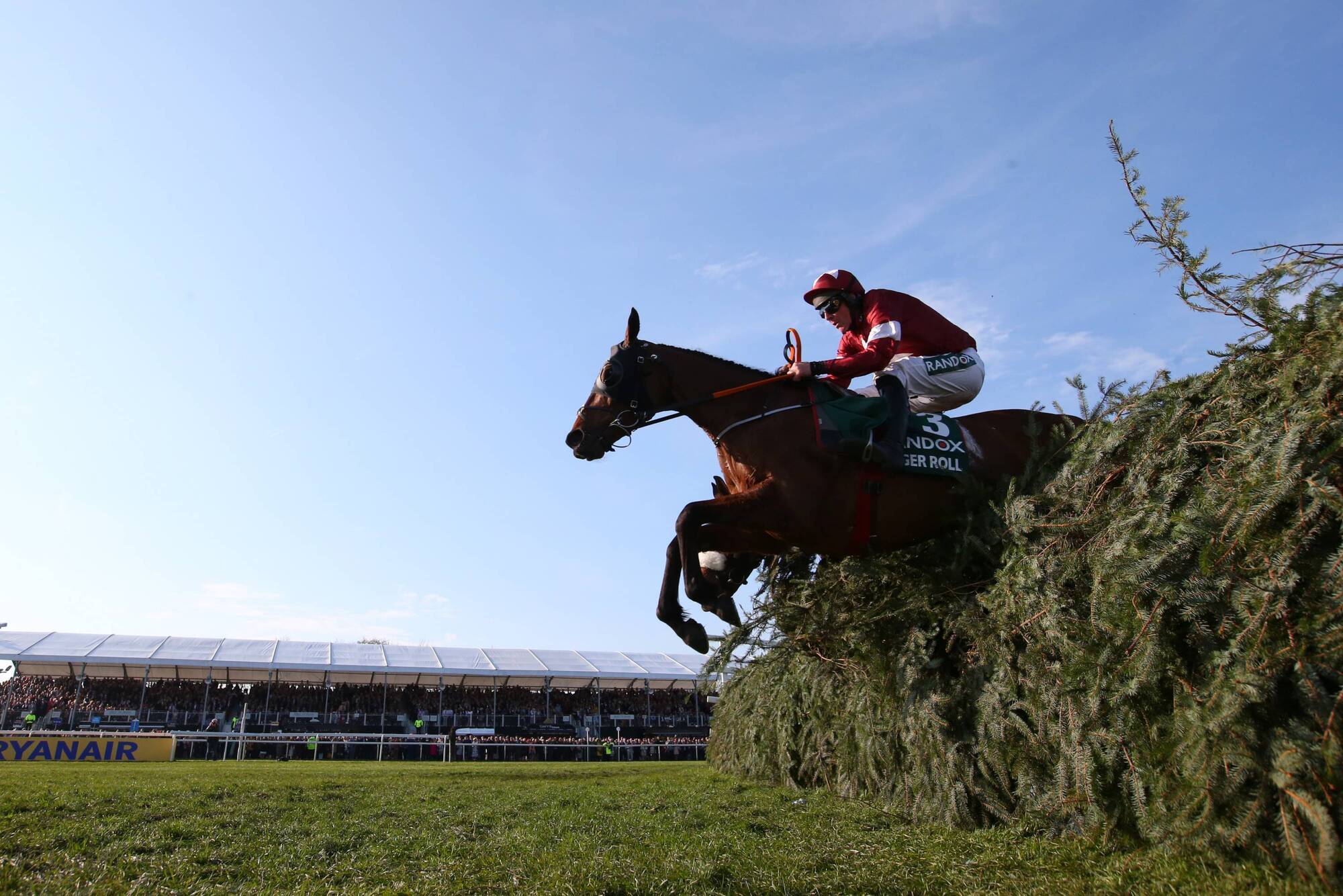 Grand National handicapper: Tiger Roll withdrawal entirely owners’ decision