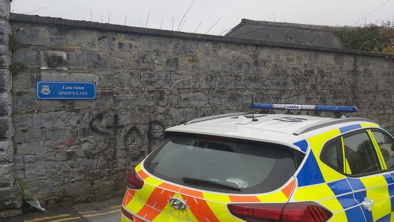 Gardaí at the scene of the suspected vandalism. 