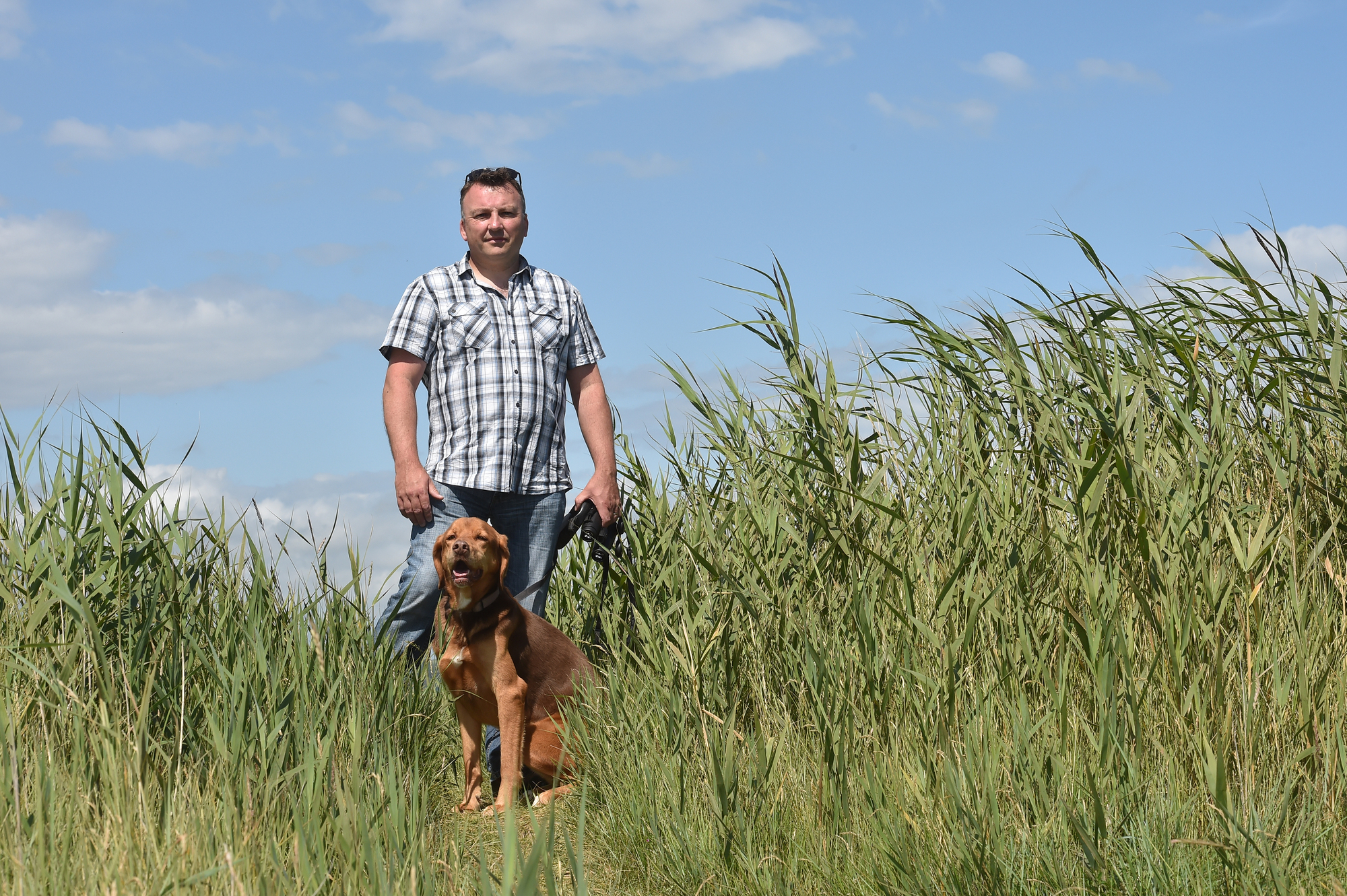 From one man and his dogs to a mass movement to clean Munster's beaches