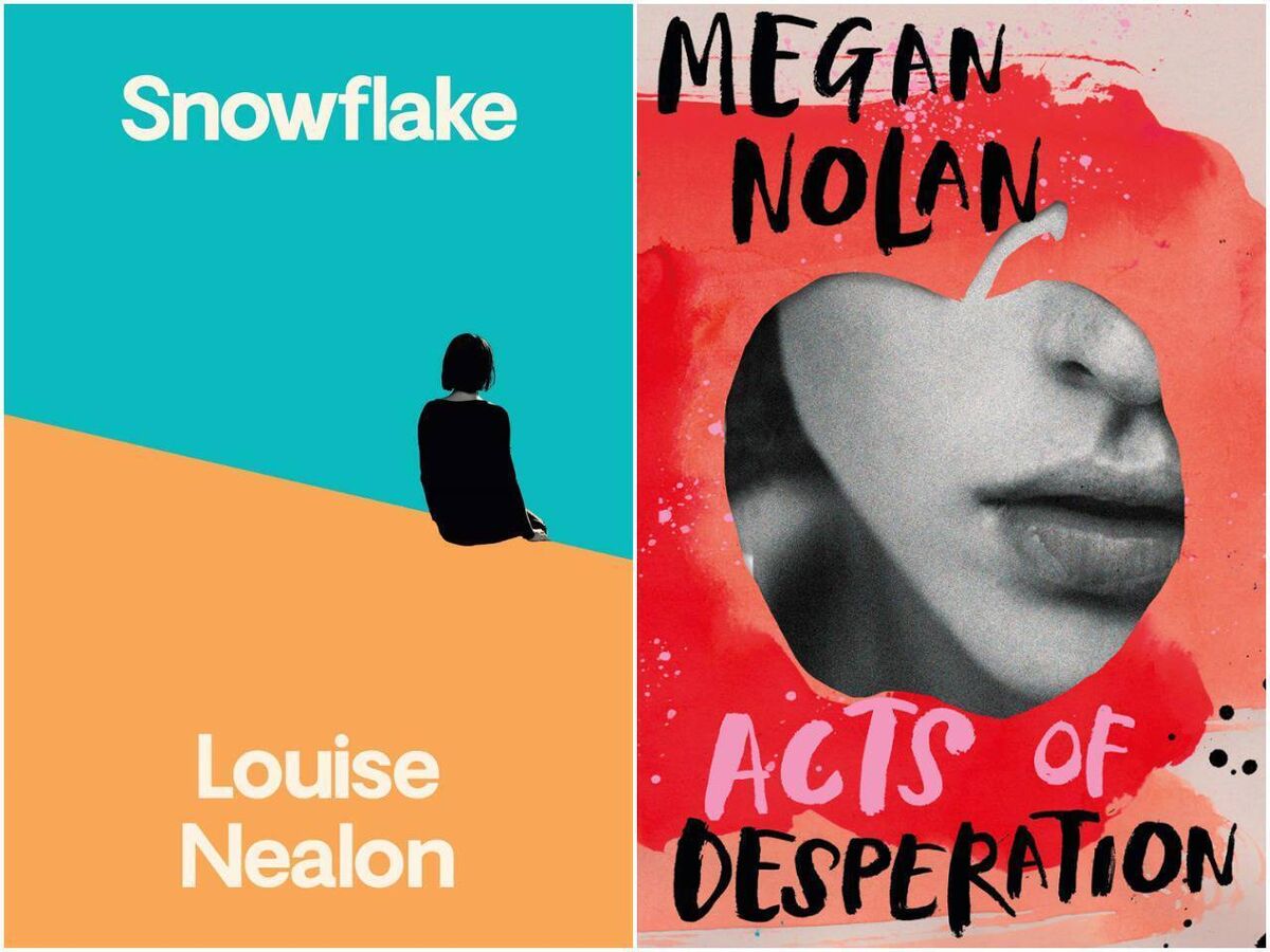 L-R: Louise Nealon's Snowflake, Megan Nolan's Acts of Desperation L-R: Louise Nealon's Snowflake, Megan Nolan's Acts of Desperation