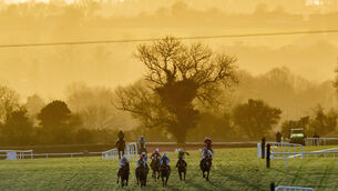 <p>A general view of The Flower Hill (Pro/Am) Flat Race at Navan last month. Picture: INPHO/Morgan Treacy</p>