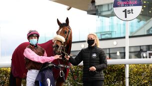 <p>Gee Rex and Mikey Sheehy won at Dundalk last October for owners Rugby &amp; Racing Syndicate and trainer Joseph O'Brien with groom Ashley Hussey. Photo: Healy Racing.</p>