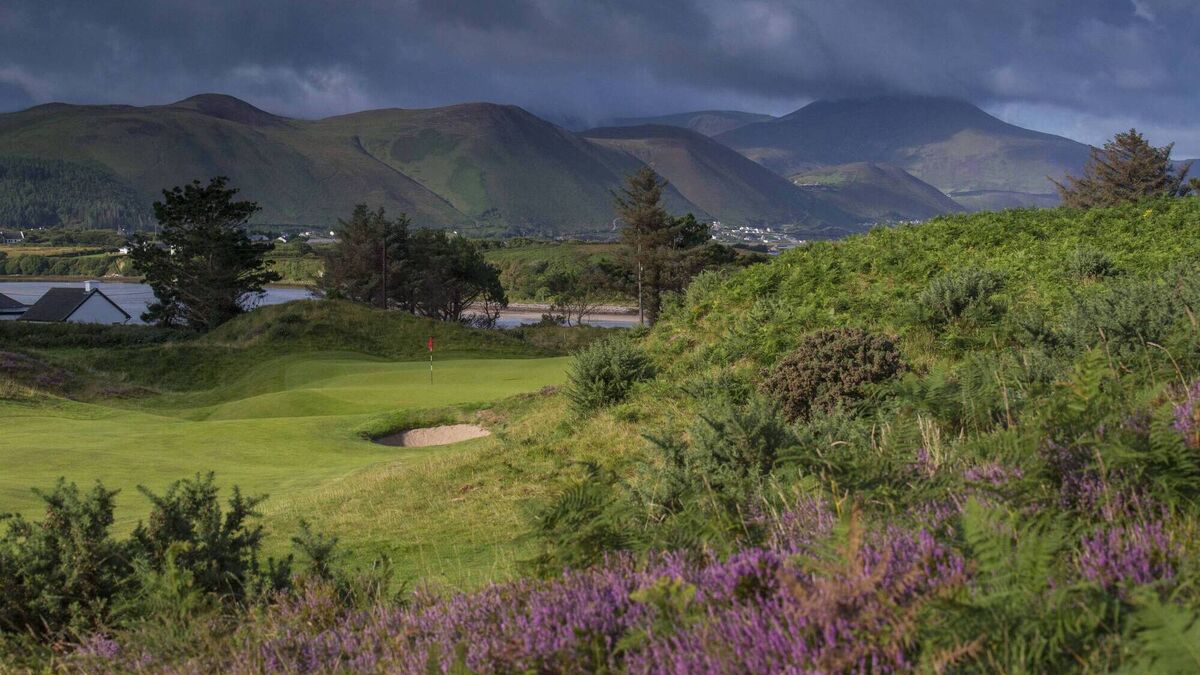 An (easy) Irish bread for the ages - Flipboard