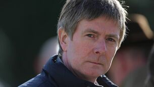 <p>Trainer Barry Connell can score with Enniskerry at Thurles. Picture: PA Wire</p>