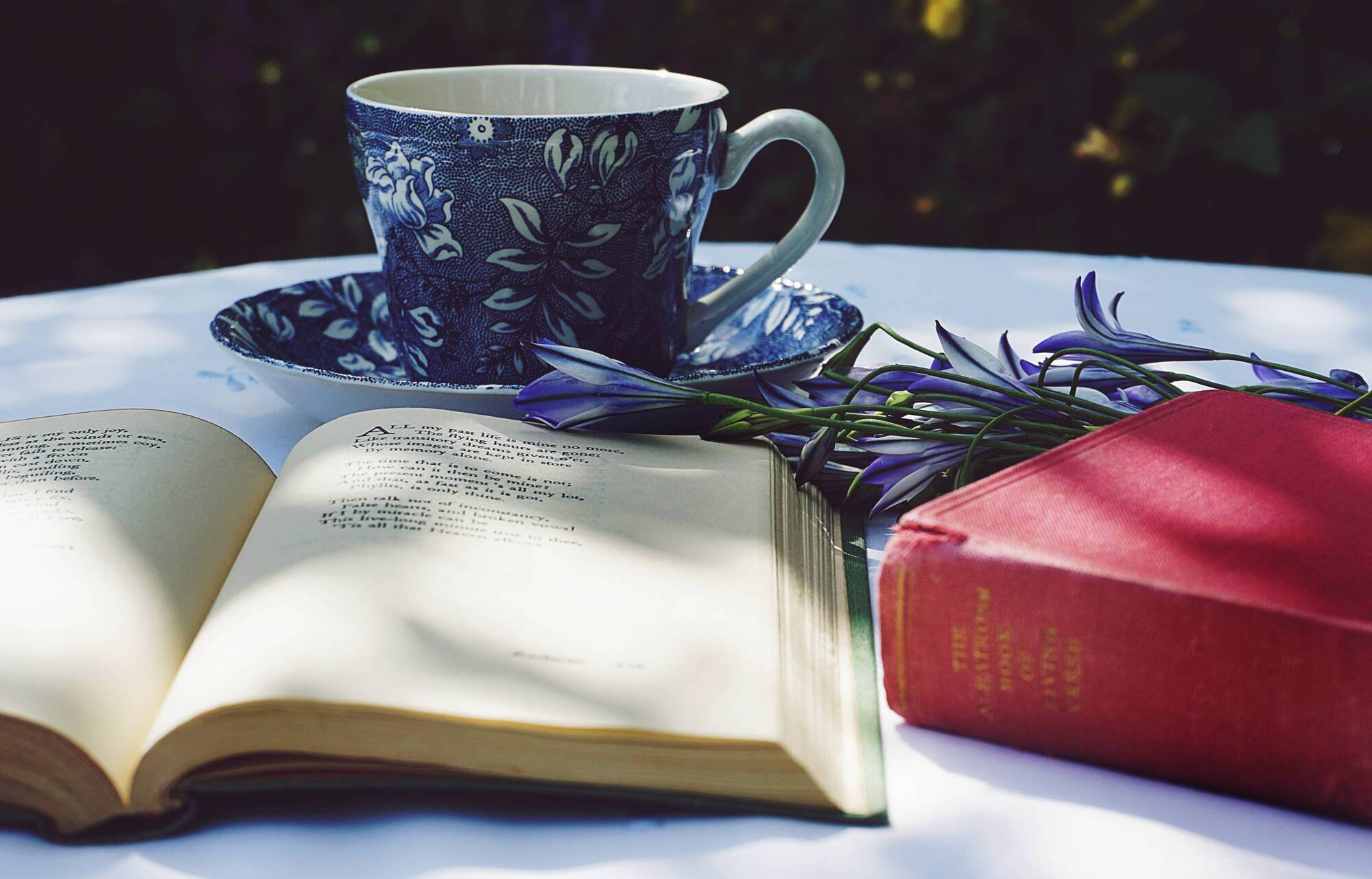 Are you a writer? Here are two great opportunities to hone your craft for free
