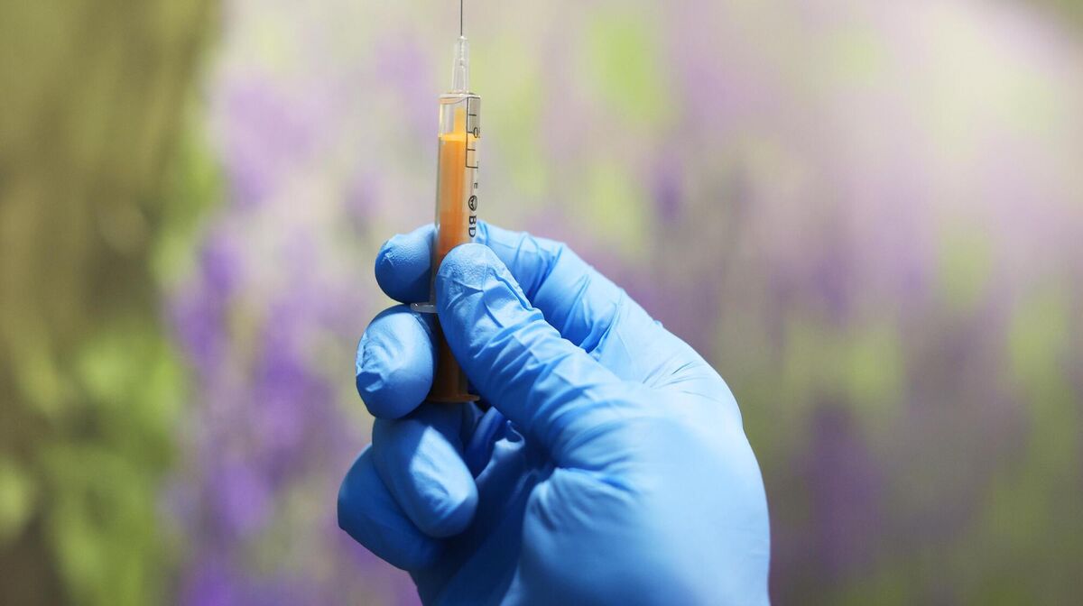 By the end of last week, more than 500,000 vaccine doses had been administered. By the end of last week, more than 500,000 vaccine doses had been administered.