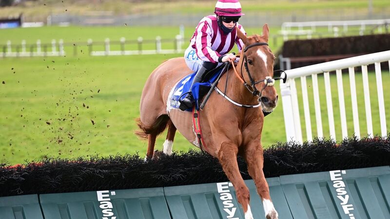 Dundalk & Gowran tips: De Bromhead can get amongst the winners again with Full Time Score