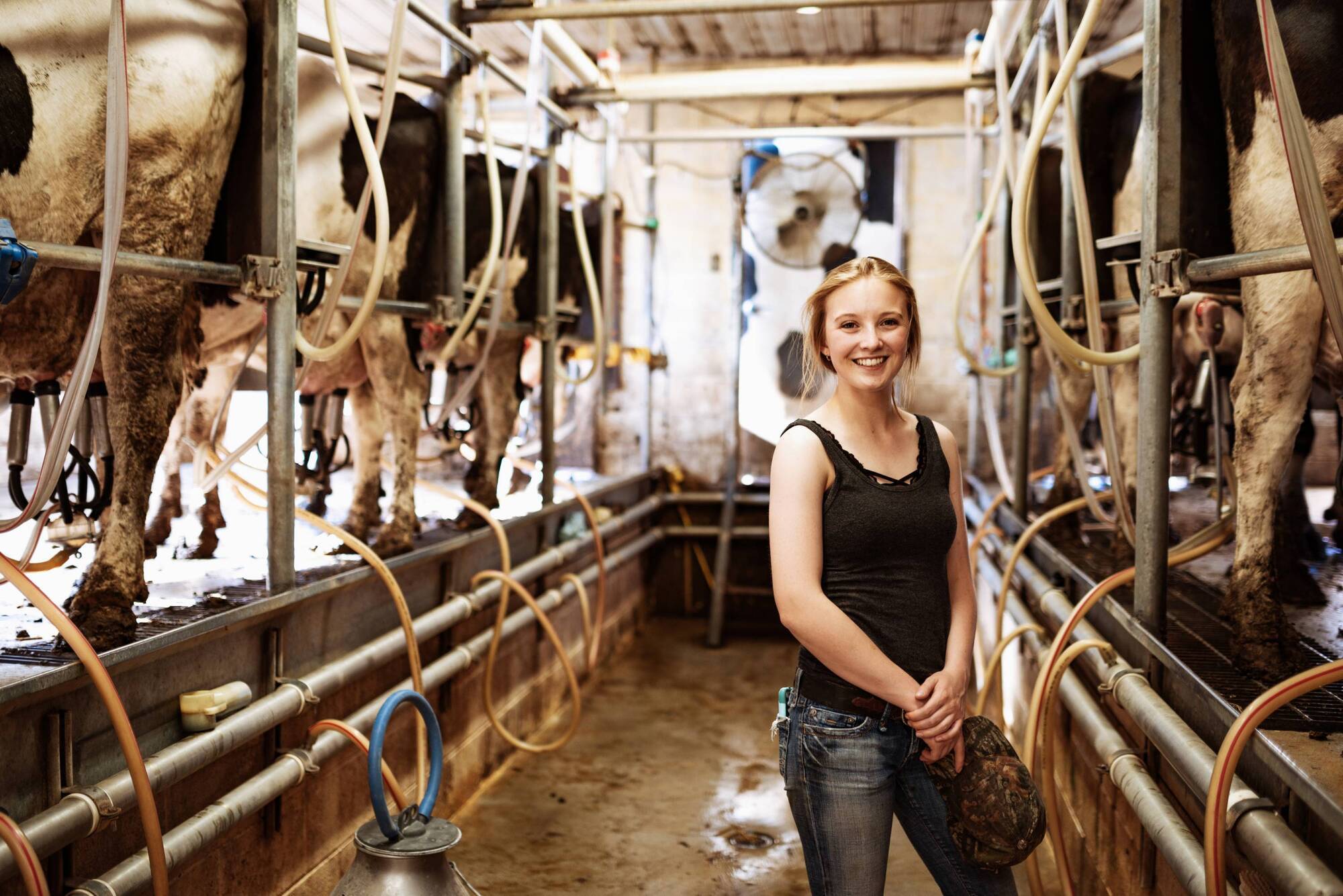 Dairy farmers welcome Kerry offer of fixed milk price of 34.8c per litre until October